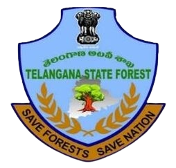 530934119_17855605407493796_393776334895415354_n-1-e1774530391650-removebg-preview